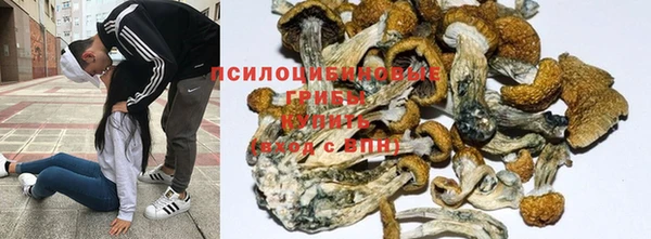 мяу мяу кристалл Бугульма