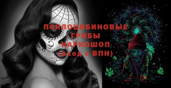 герыч Бронницы